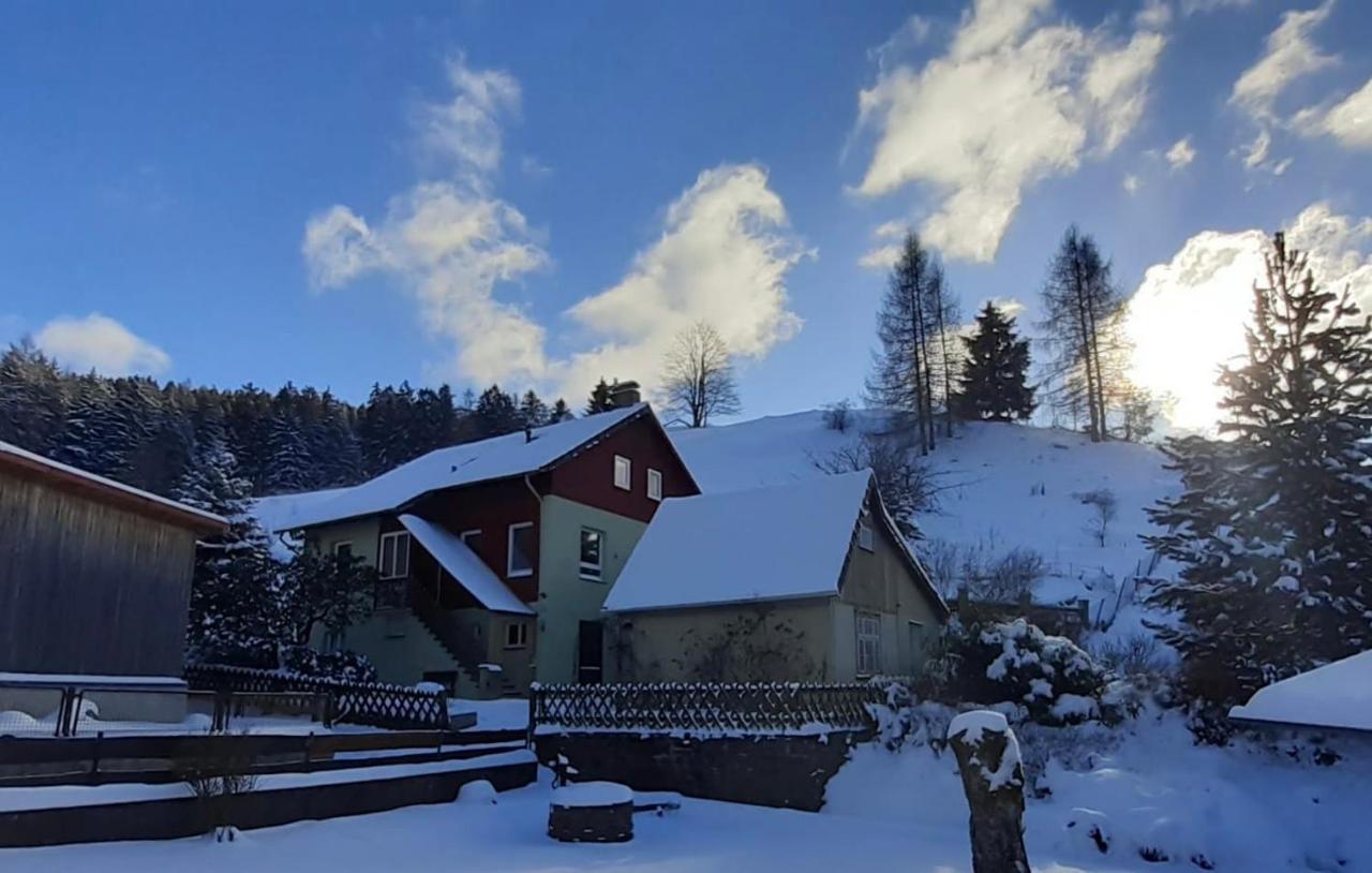 Platell Ferienhaeuser Harz Lerbach Kültér fotó