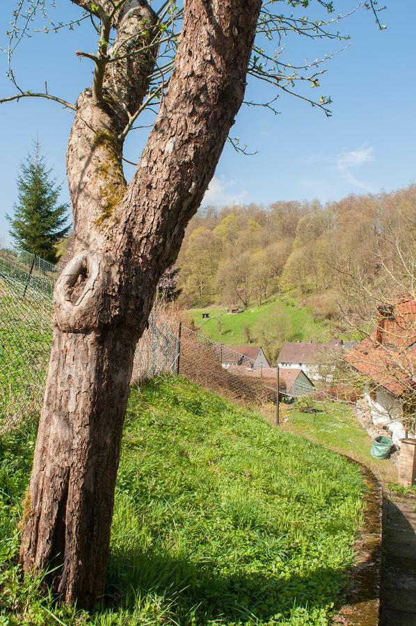 Platell Ferienhaeuser Harz Lerbach Kültér fotó